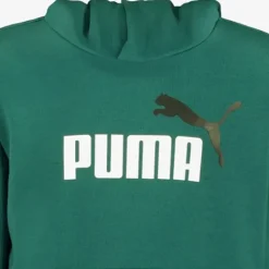 Puma ESS Col 2 Big Logo kinder hoodie groen Sale