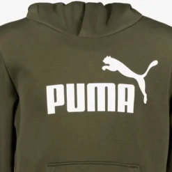Puma ESS Col 2 Big Logo kinder hoodie donkergroen Discount