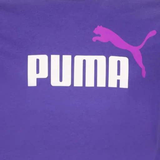 Puma Essentials 2 Color No. 1 heren sport T-shirt