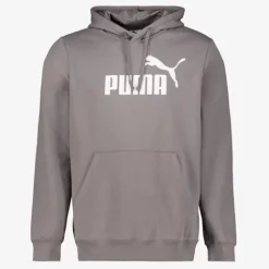 Puma Essentials 2 Color No. 1 Logo hoodie grijs Outlet