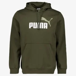 Puma Essentials 2 Color No. 1 Logo hoodie donkergroen Online
