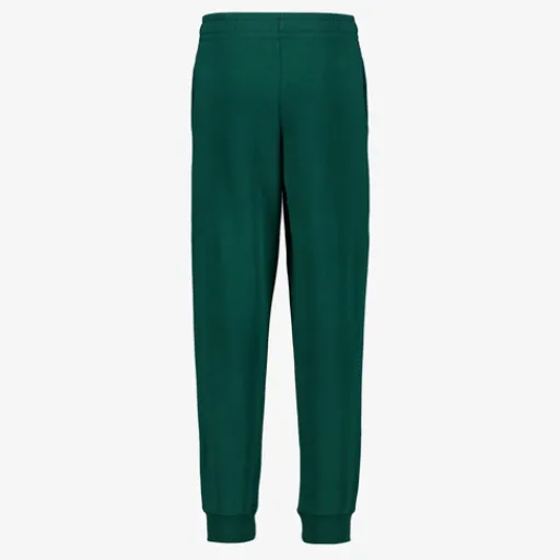 Puma Essentials 2 Color No. 1 Logo kinder joggingbroek groen Discount