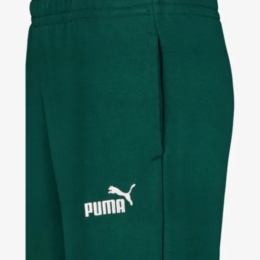 Puma Essentials 2 Color No. 1 Logo kinder joggingbroek groen Discount