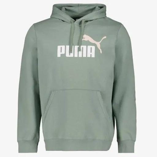 Puma Essentials 2 Color No. 1 Logo hoodie groen Clearance