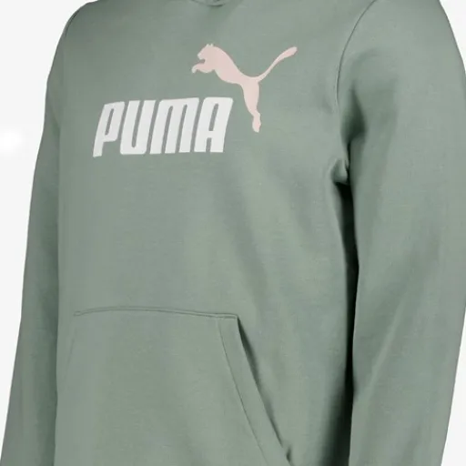 Puma Essentials 2 Color No. 1 Logo hoodie groen Clearance