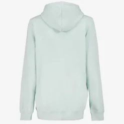 Puma Essentials 2 Color No. 1 Logo heren hoodie Online