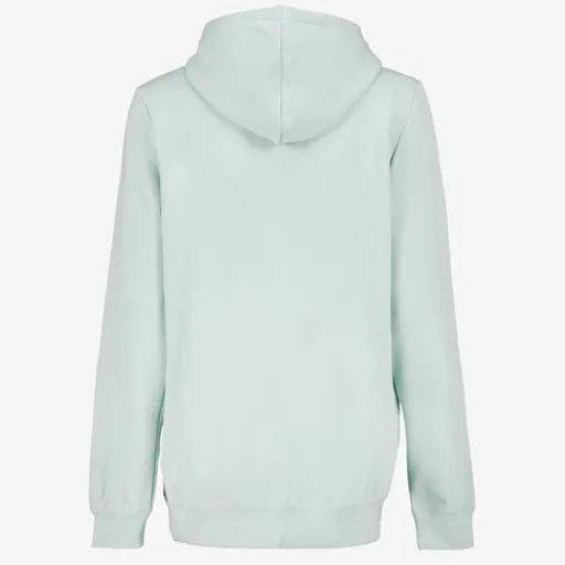 Puma Essentials 2 Color No. 1 Logo heren hoodie Online