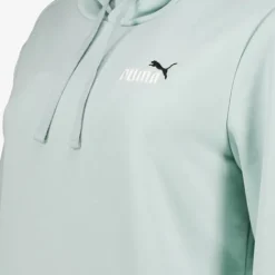 Puma Essentials 2 Color No. 1 Logo heren hoodie Online