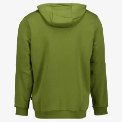 Puma Essentials Big Logo heren hoodie donkergroen