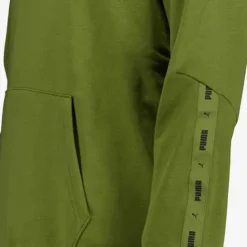Puma Essentials Big Logo heren hoodie donkergroen