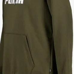 Puma Essentials Big Logo heren hoodie donkergroen Best