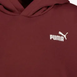 Puma Essentials Small Logo kinder hoodie rood Sale