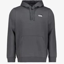 Puma Essentials Small No. 1 Logo heren hoodie grijs Outlet