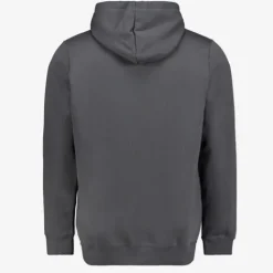 Puma Essentials Small No. 1 Logo heren hoodie grijs Outlet