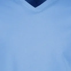 Unsigned Heren T-shirt katoen met V-hals blauw Best