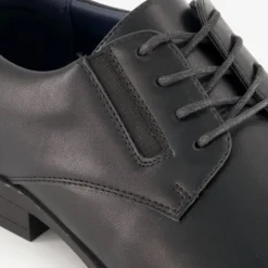 Emilio Salvatini Heren veterschoenen zwart Sale