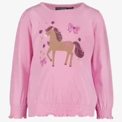 TwoDay Meisjes trui met paard en vlinders roze Outlet