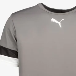 Puma Teamliga Jersey heren sport T-shirt grijs