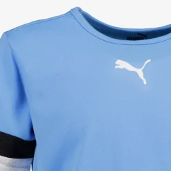 Puma TeamRISE Jersey kinder voetbal T-shirt blauw Clearance