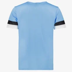 Puma TeamRISE Jersey voetbal T-shirt lichtblauw Hot