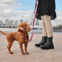 Blue Box Zwartemeisjes veterboots met gouden studs New